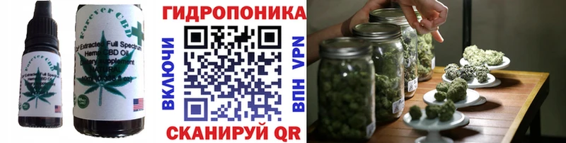 как найти закладки  Курган  мега tor  Canna-Cookies конопля 