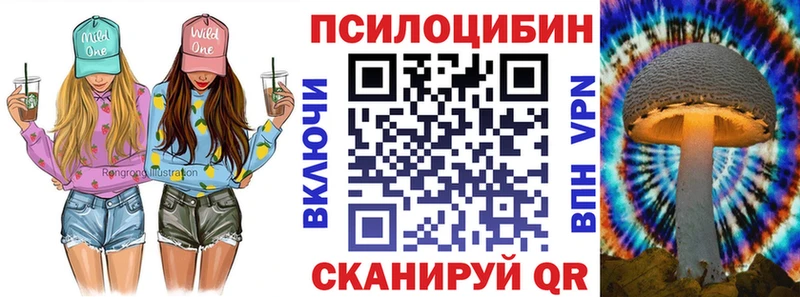 Галлюциногенные грибы MAGIC MUSHROOMS  где можно купить   Курган 