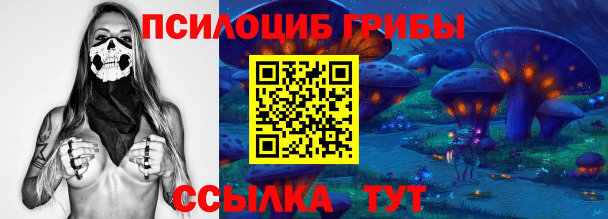 Галлюциногенные грибы прущие грибы Курган