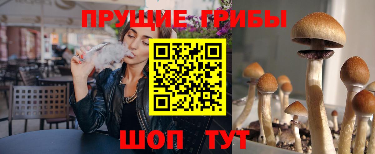 Псилоцибиновые грибы MAGIC MUSHROOMS  Вход с VPN  Курган  Галлюциногенные грибы мухоморы 